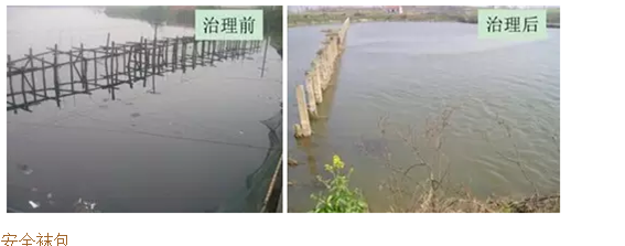 河道黑臭水質(zhì)微生物改善技術(shù)-