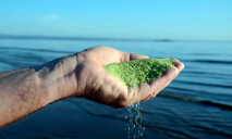 化學(xué)品展區(qū)——dryden afm活性過(guò)濾濾料