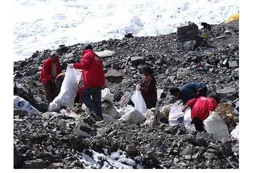 你被“垃圾分類”洗腦了嗎？揭秘強(qiáng)制分類背后的驚天秘密！-