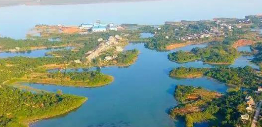 不斷加速的淘汰賽中，泵管閥“后浪們”為活下去而戰(zhàn)！