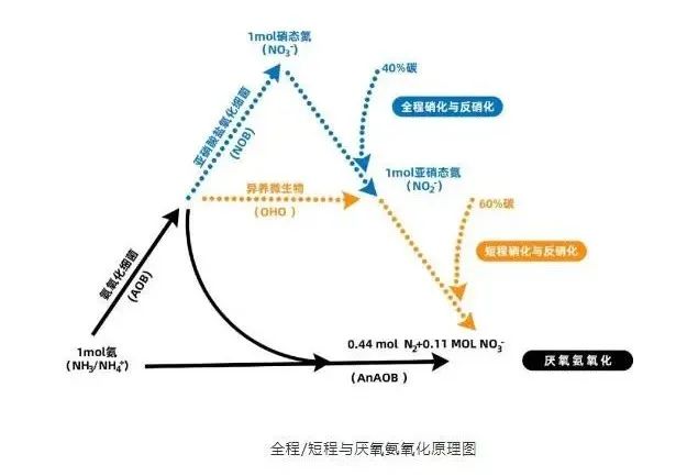 面對低濃度氨氮工業廢水束手無策？這幾種方法可以解決-