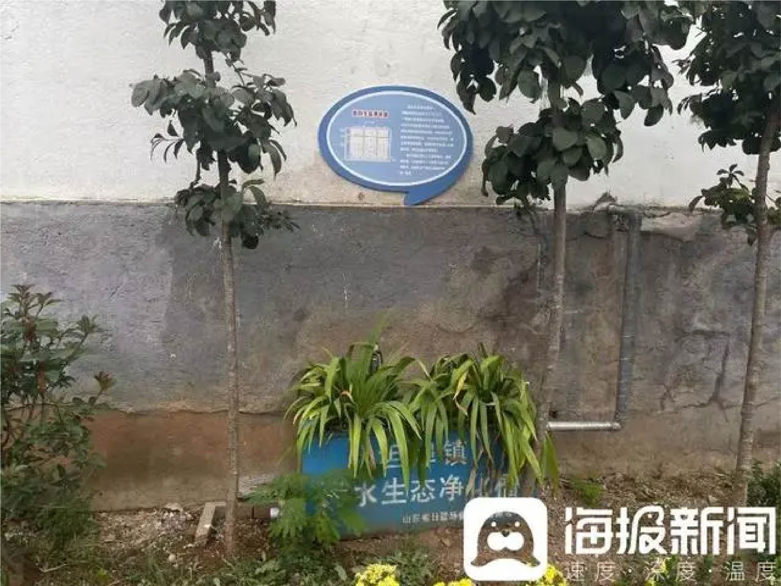 推進生活污水處理｜廢水變“肥水”，臨沂因地制宜治污水-