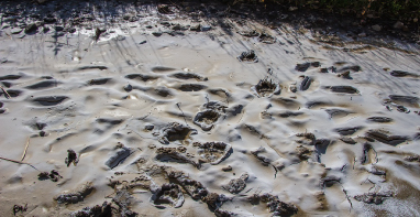 換季污泥膨脹，怎么辦？