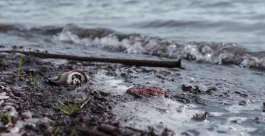 103條黑臭水體！江蘇2024年全省農(nóng)村環(huán)境整治工作計劃！